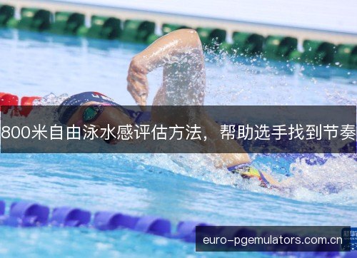 800米自由泳水感评估方法，帮助选手找到节奏